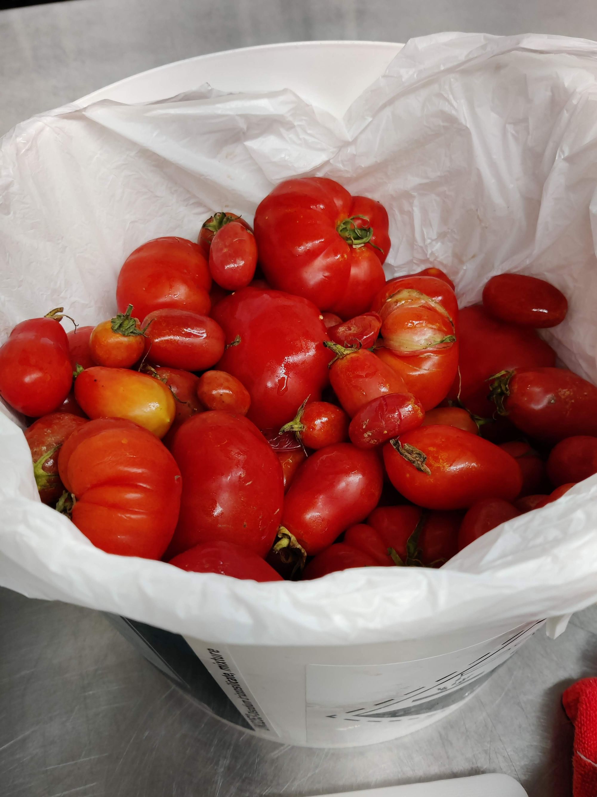 Tomaten verwerken